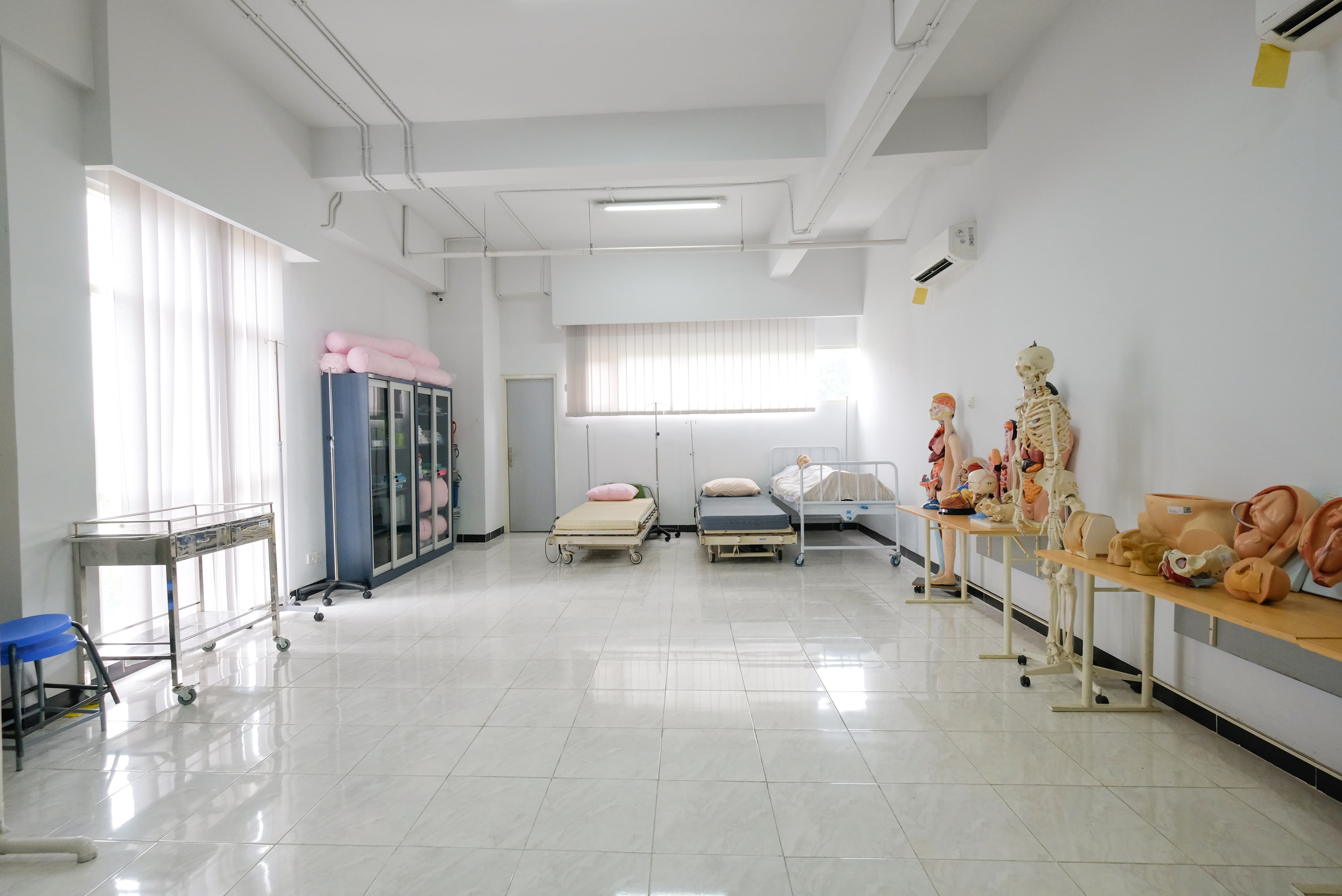 Lab Anatomi & Fisiologi